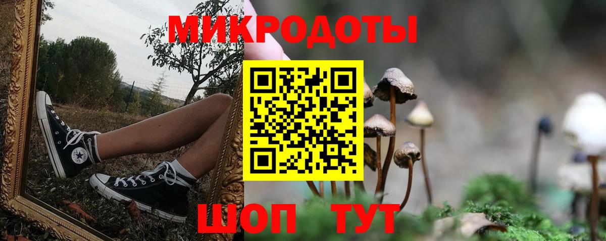 Псилоцибиновые грибы MAGIC MUSHROOMS  наркотики  Белово  Вход с VPN 